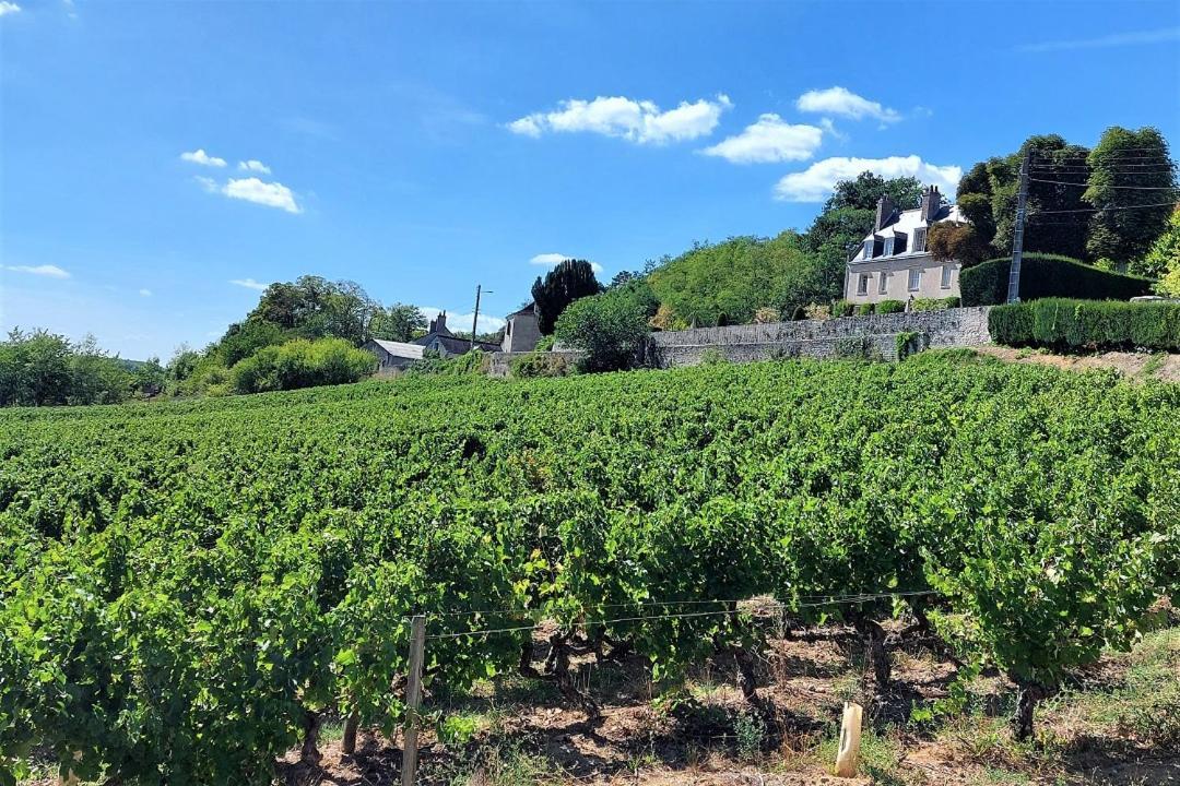 Le Balzac / Colbert - Bord De Loire Leilighet Tours Eksteriør bilde